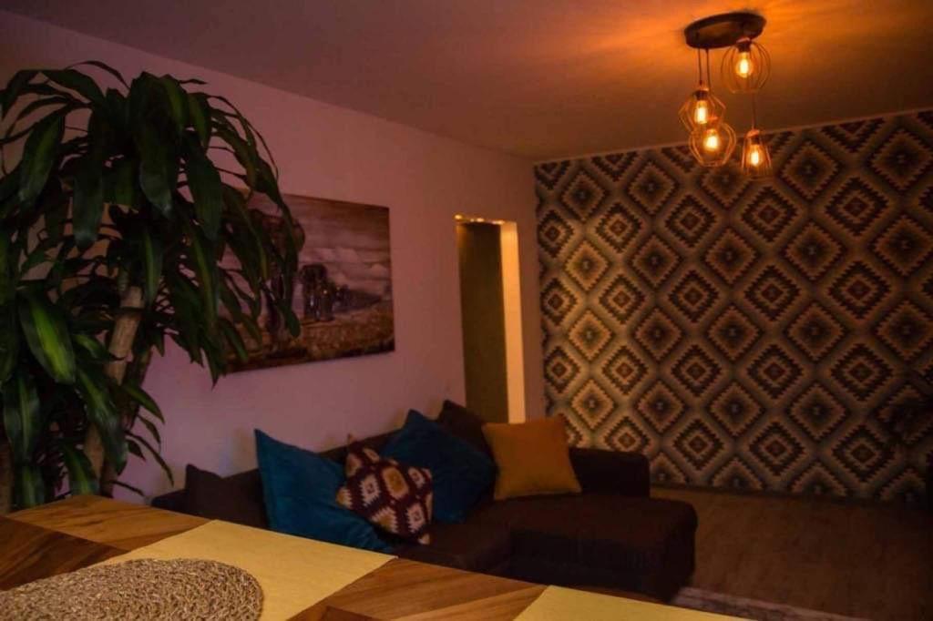 Colonial Touch Apartament 布拉索夫 外观 照片